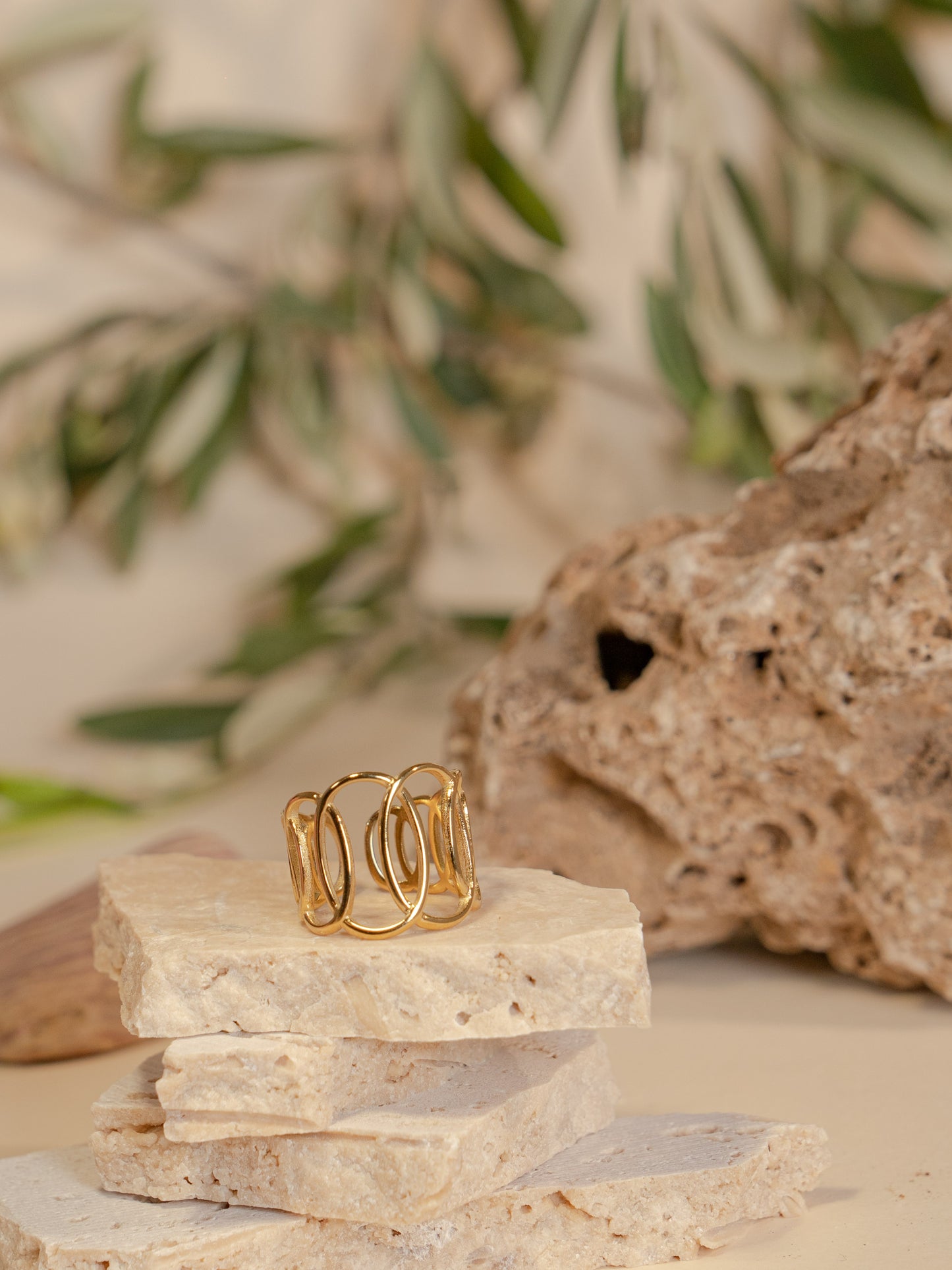 EFIA Circle Circle Ring