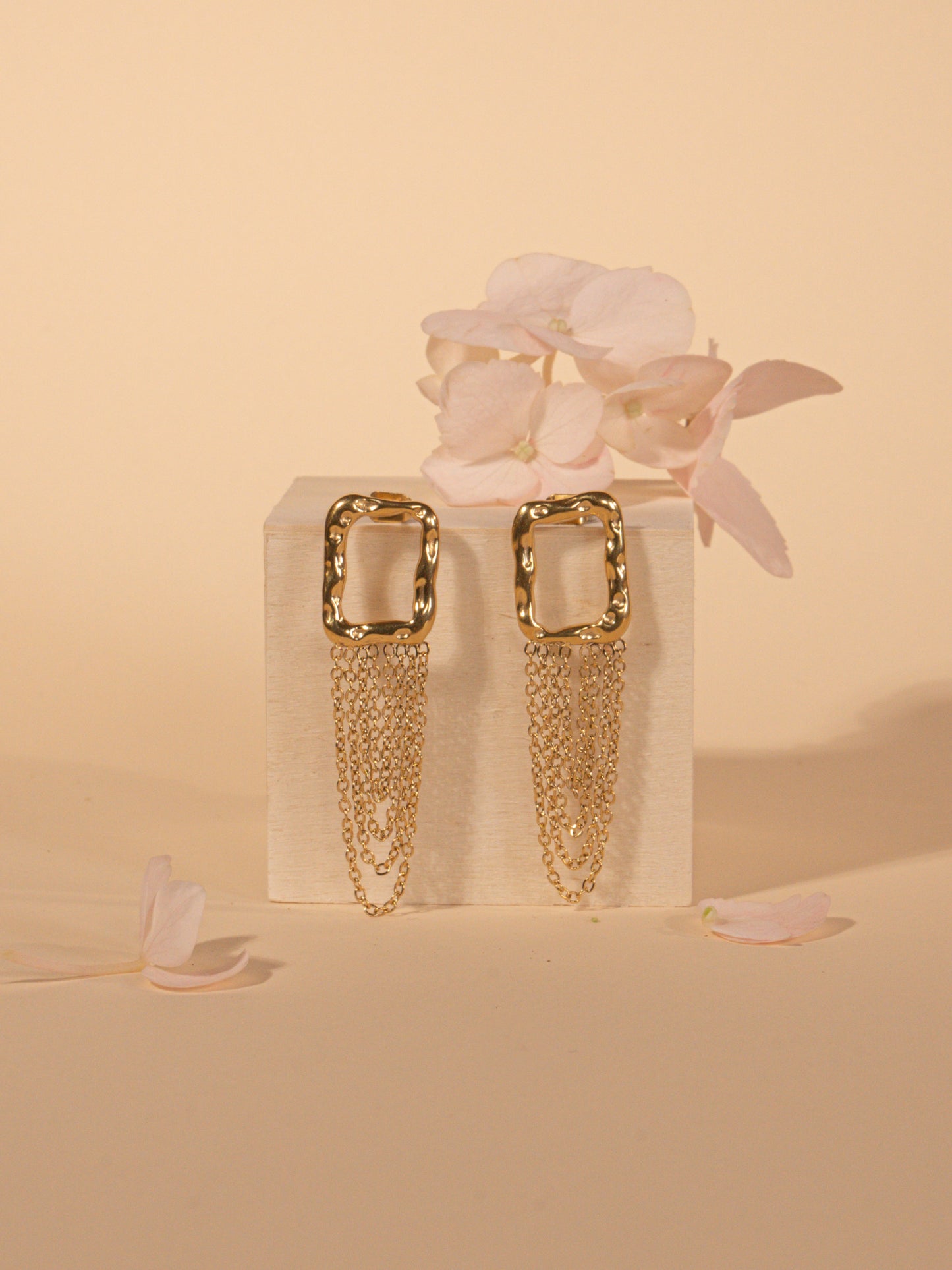 Square earrings and Insta chain